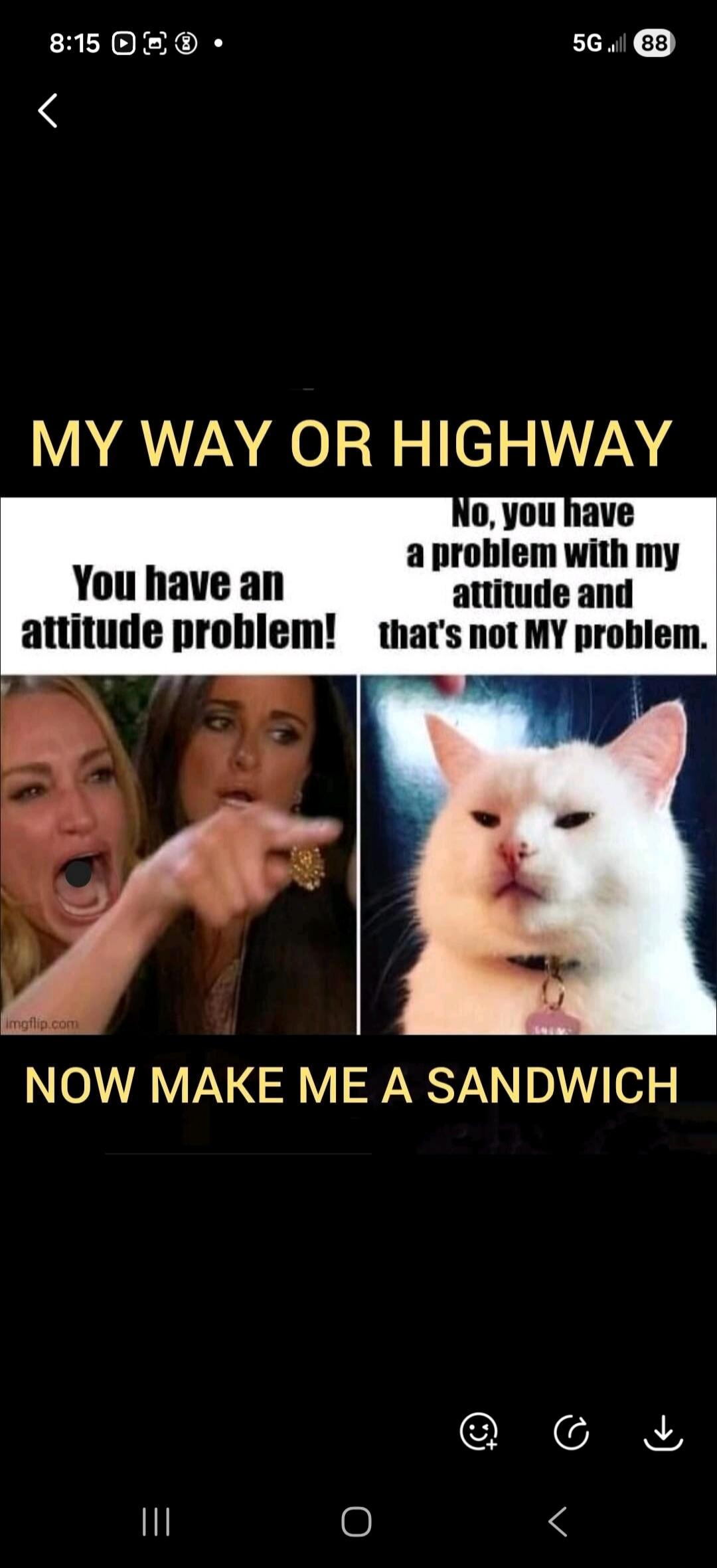 MY WAY OR HIGHWAY
You have an attitude problem!
No, you have a problem with my attitude and that's not MY problem.
NOW MAKE ME A SANDWICH