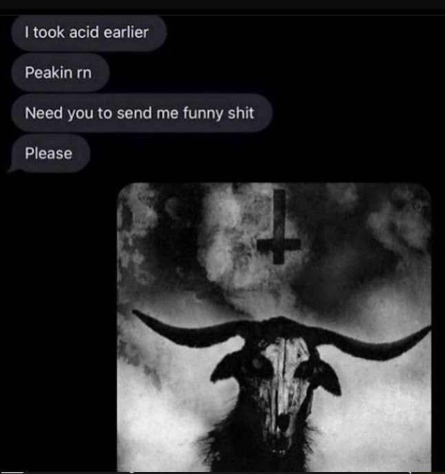 I took acid earlier Peakin rn Need you to send me funny shit Please