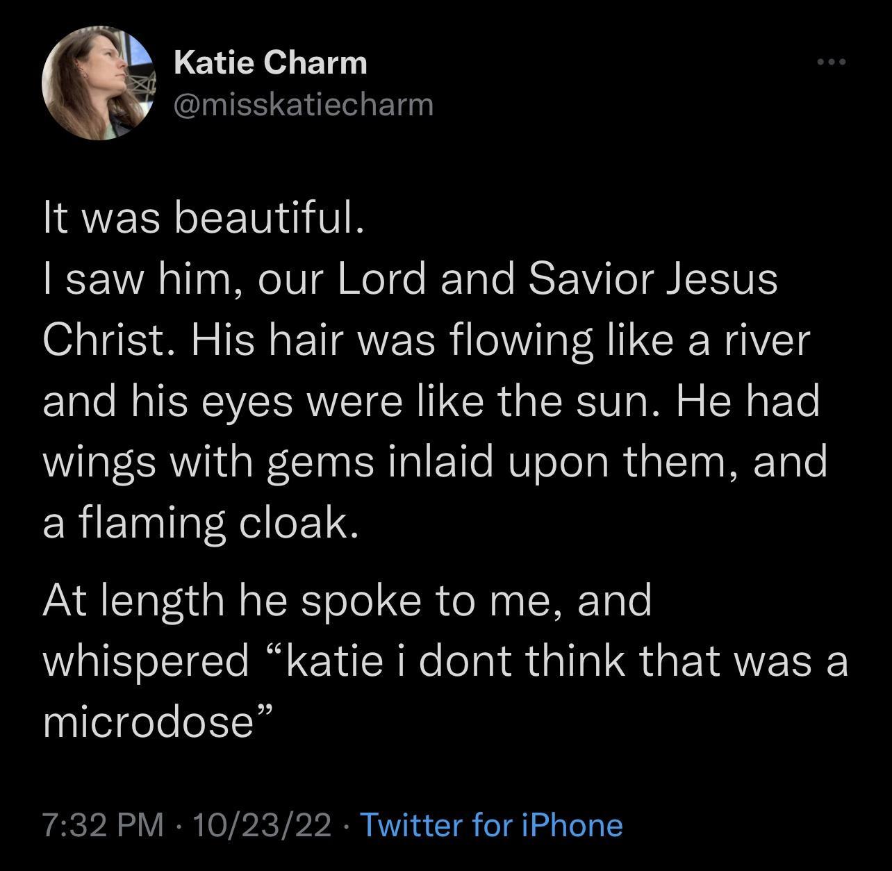 Katie Charm IEETENELL BT IQVEERCEET VR saw him our Lord and Savior Jesus Christ His hair was flowing like a river and his eyes were like the sun He had wings with gems inlaid upon them and ERiEINal Rell1S At length he spoke to me and whispered katie i dont think that was a microdose 732 PM 102322 Twitter for iPhone