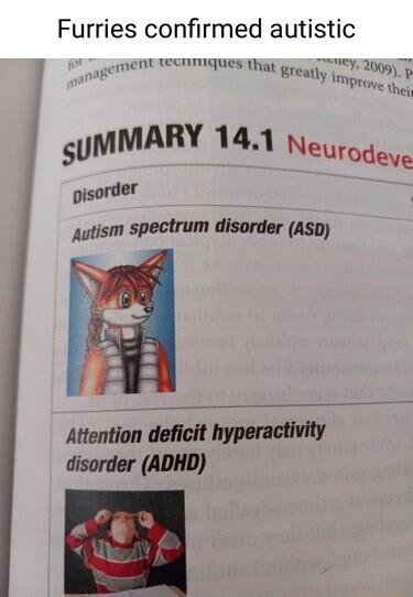 Furries confirmed autistic gement CCnIMIGUES Uiat e ey 2005 m PrOVE e o MMARY 41 Neurodeve pisorder utism spectrum disorder Asp Attention deficit hyperactivity disorder ADHD