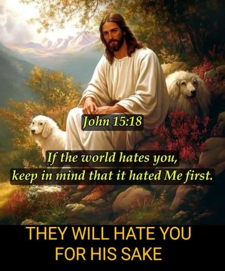 John 15:18 If the world hates you, keep in mind that it hated Me first. THEY WILL HATE YOU FOR HIS SAKE