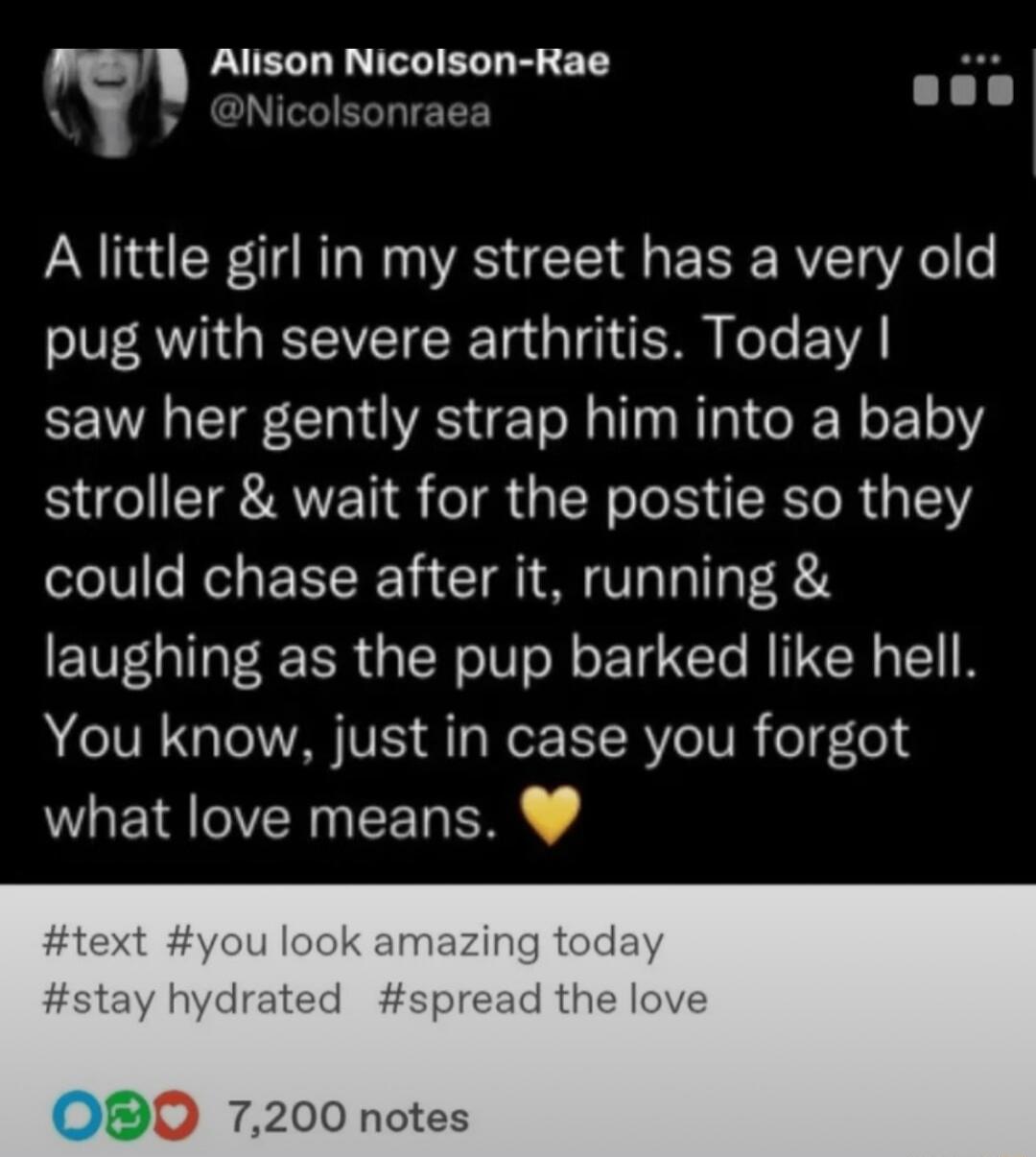 Nicolsonraea Alison Nicolson Rae 5 A little girl in my street has a very old pug with severe arthritis Today saw her gently strap him into a baby stroller wait for the postie so they could chase after it running laughing as the pup barked like hell You know just in case you forgot what love means