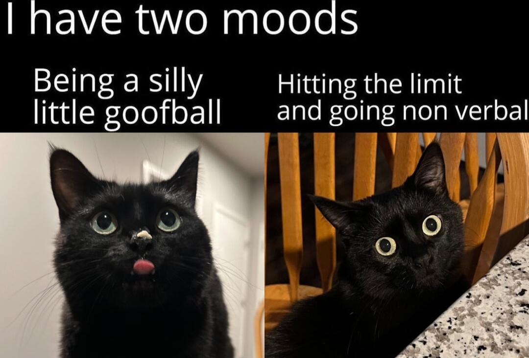 have two moods Being a sxlly Hitting the limit little goofball and going non verbal Y