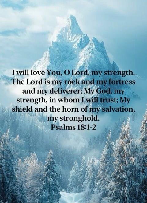 I will love You, O Lord, my strength. The Lord is my rock and my fortress and my deliverer; My God, my strength, in whom I will trust; My shield and the horn of my salvation, my stronghold. Psalms 18:1-2