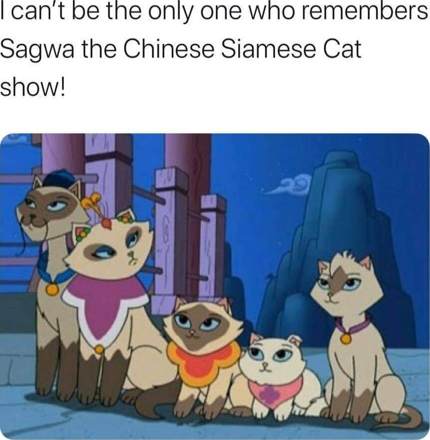 pe the only one who remembers Sagwa the Chinese Siamese Cat show