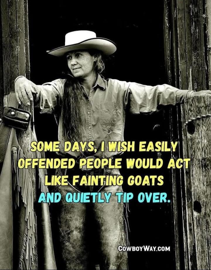 SOME DAYS, I WISH EASILY OFFENDED PEOPLE WOULD ACT LIKE FAINTING GOATS AND QUIETLY TIP OVER.