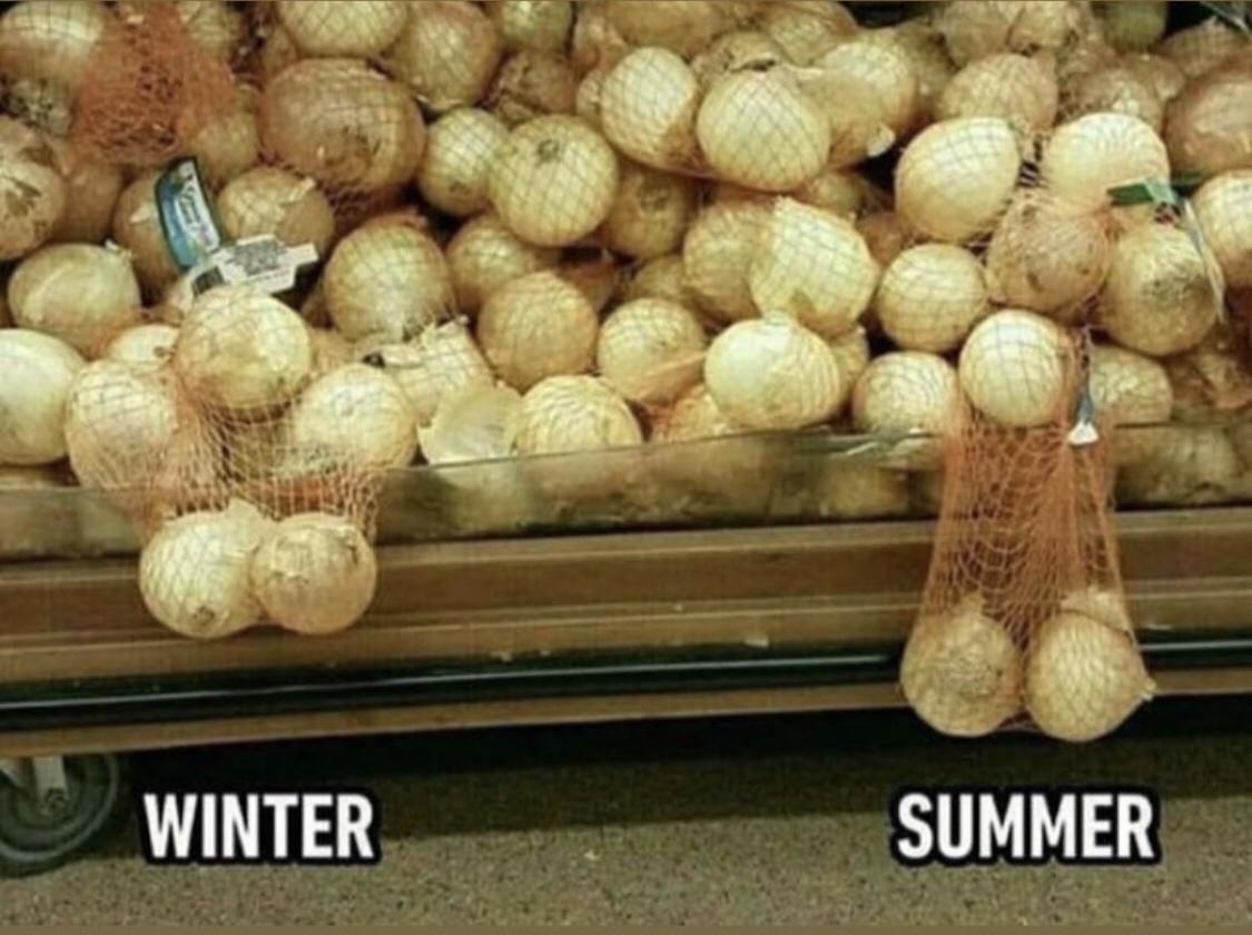 WINTER SUMMER