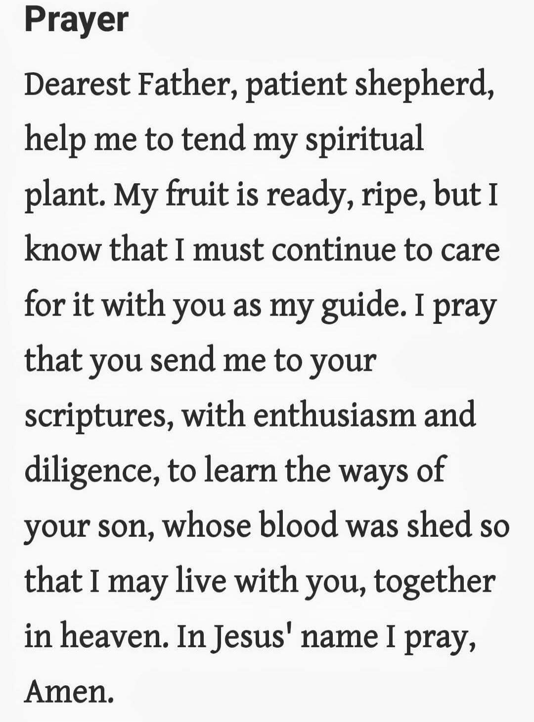 Prayer

Dearest Father, patient shepherd, help me to tend my spiritual plant. My fruit is ready, ripe, but I know that I must continue to care for it with you as my guide. I pray that you send me to your scriptures, with enthusiasm and diligence, to learn the ways of your son, whose blood was shed so that I may live with you, together in heaven. In