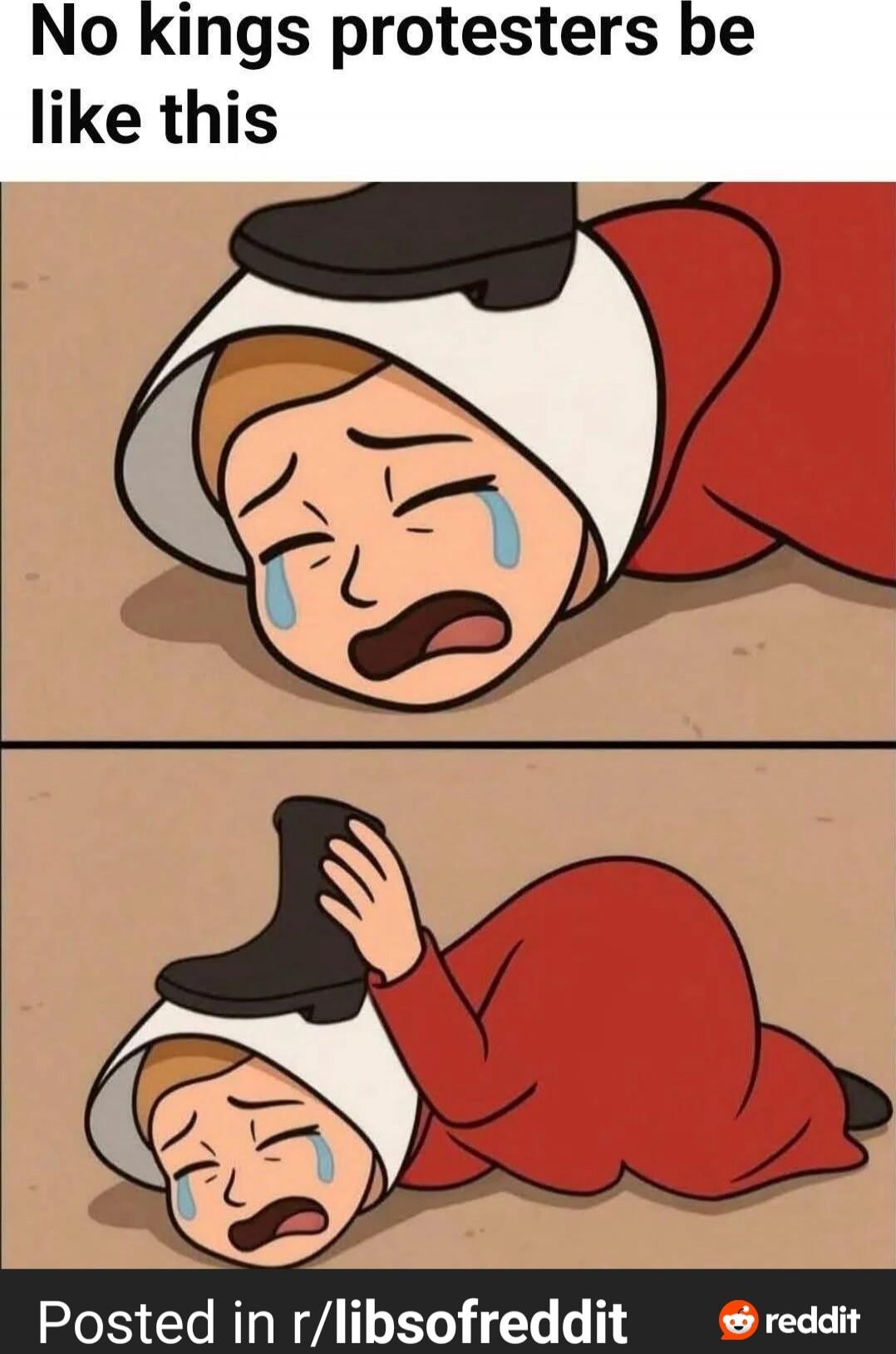 No kings protesters be like this
Posted in r/libsofreddit