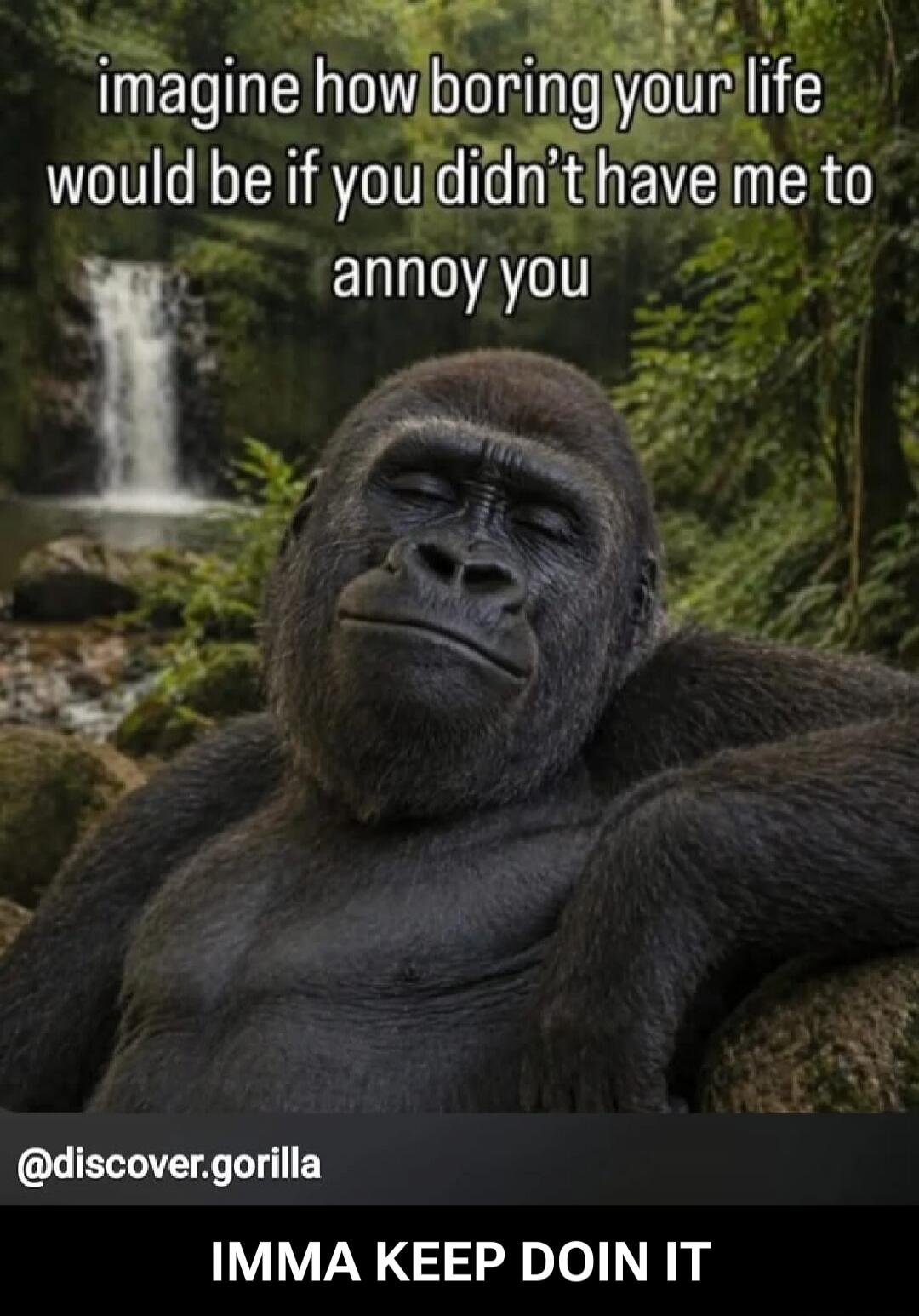 imagine how boring your life would be if you didn't have me to annoy you @discover.gorilla IMMA KEEP DOIN IT