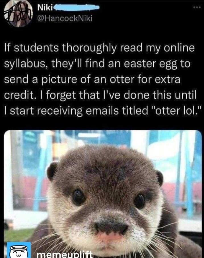 If students thoroughly read my online syllabus theyll find an easter egg to send a picture of an otter for extra credit forget that Ive done this until start receiving emails titled otter lol