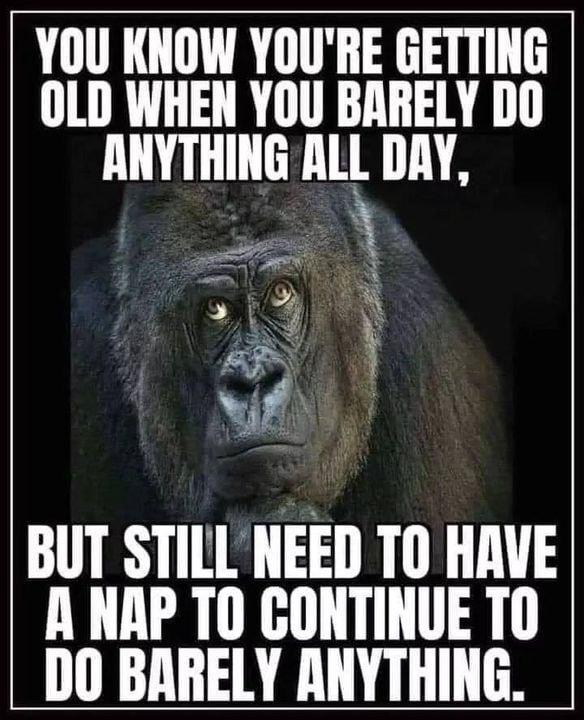 YOU KNOW YOURE GETTING OLD WHEN YOU BARELY DO ANYTHING llll DAY 3 f BUT STILL NEED TO HAVE A NAP TO GONTINUE TO DO BARELY ANYTHING