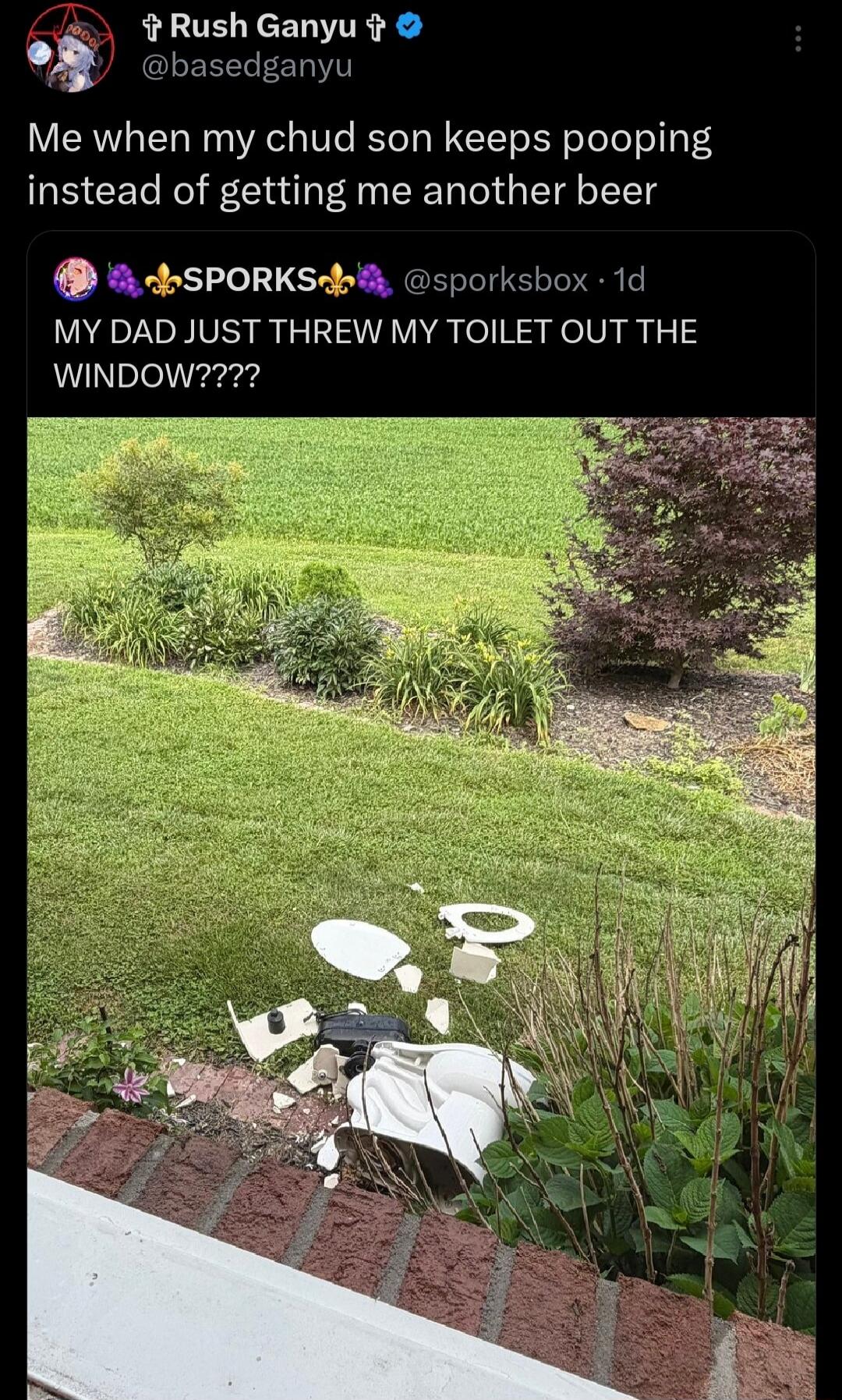 Me when my chud son keeps pooping instead of getting me another beer. MY DAD JUST THREW MY TOILET OUT THE WINDOW????
