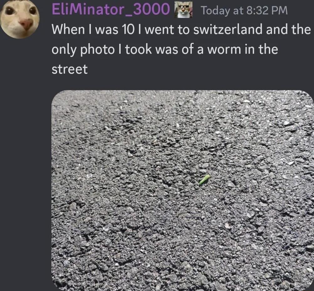 a EliMinator_3000 R Today at832pPM When was 10 went to switzerland and the only photo took was of a worm in the street