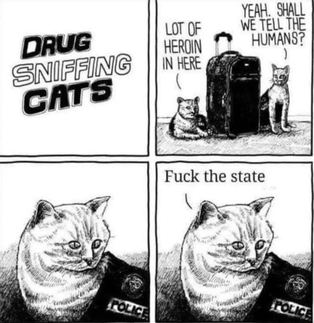 LOT OF IJEEAELT HerN 3 HUMANSY gmi w IN FERE s Fuck the state