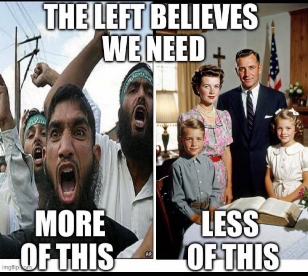 THE LEFT BELIEVES WE NEED MORE OF THIS LESS OF THIS