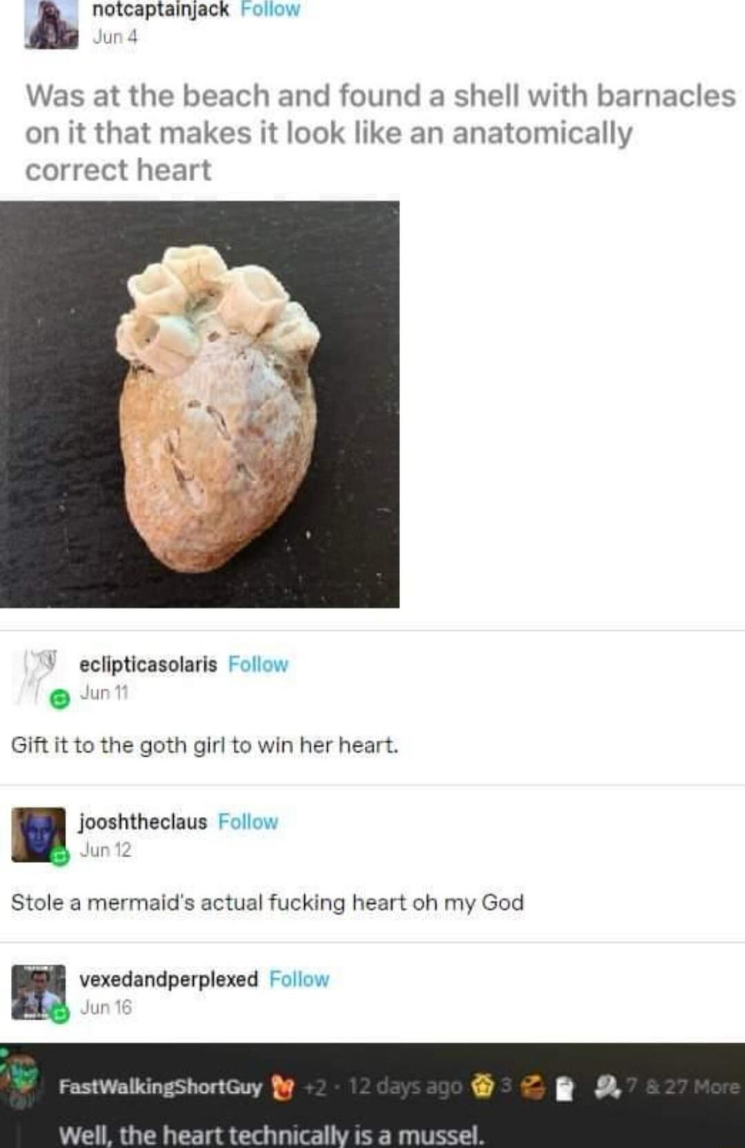 otcaptainjack Follow Was at the beach and found a shell with barnacles on it that makes it look like an anatomically correct heart eclipticasolaris Follow Gift it to the goth girl to win her heart jooshtheclaus Follow Stole a mermaids actual fucking heart oh my God vexedandperplexed Follow FastWalkingShortGuy I the heart technicalh
