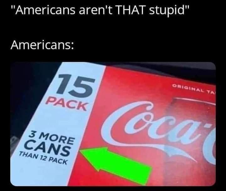 Americans arent THAT stupid Americans