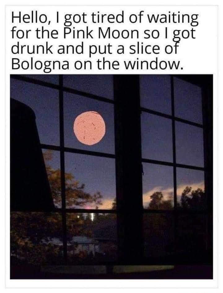 Hello got tired of waiting for the Pink Moon so got drunk and put a slice o Bologna on the window