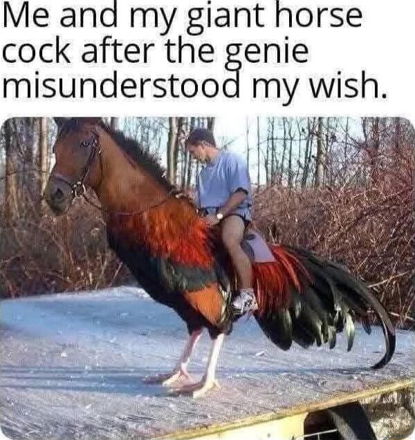 Me and my giant horse cock after the genie misunderstood my wish 5