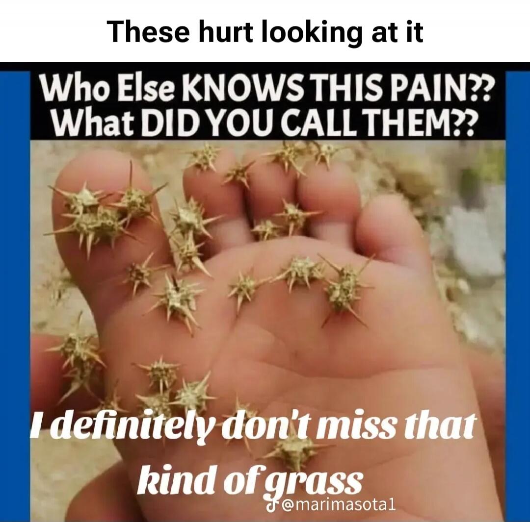 These hurt looking at it Who Else KNOWS THIS PAIN?? What DID YOU CALL THEM?? I definitely don't miss that kind of grass