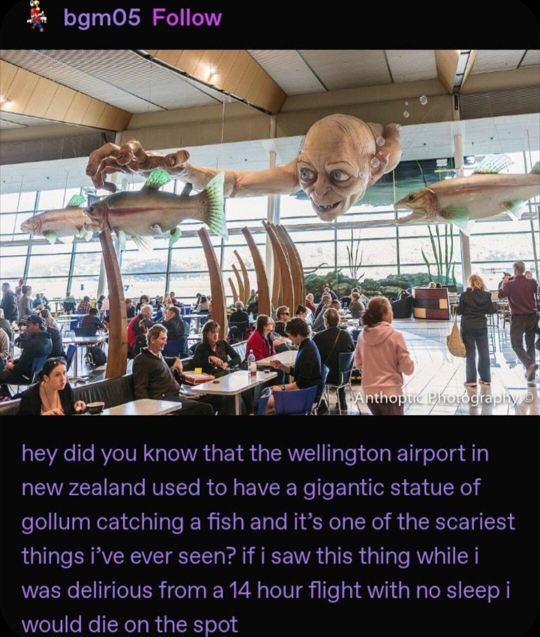 bgmO05 Follow hey did you know that the wellington airport in QEVFLEEL O IVEL R G EVEE T s E o T el gollum catching a fish and its one of the scariest things ive ever seen if i saw this thing while i was delirious from a 14 hour flight with no sleep i would die on the spot