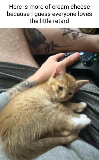 Here is more of cream cheese because guess everyone loves the little retard