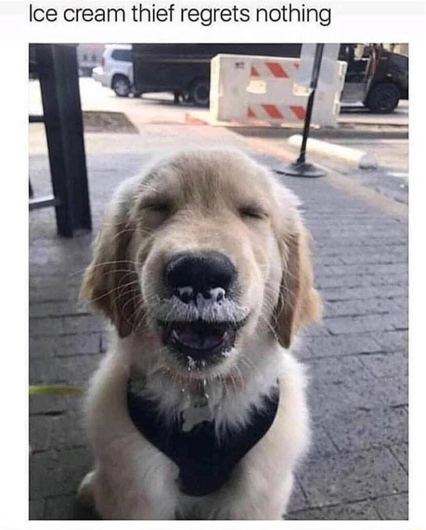 Ice cream thief regrets nothing