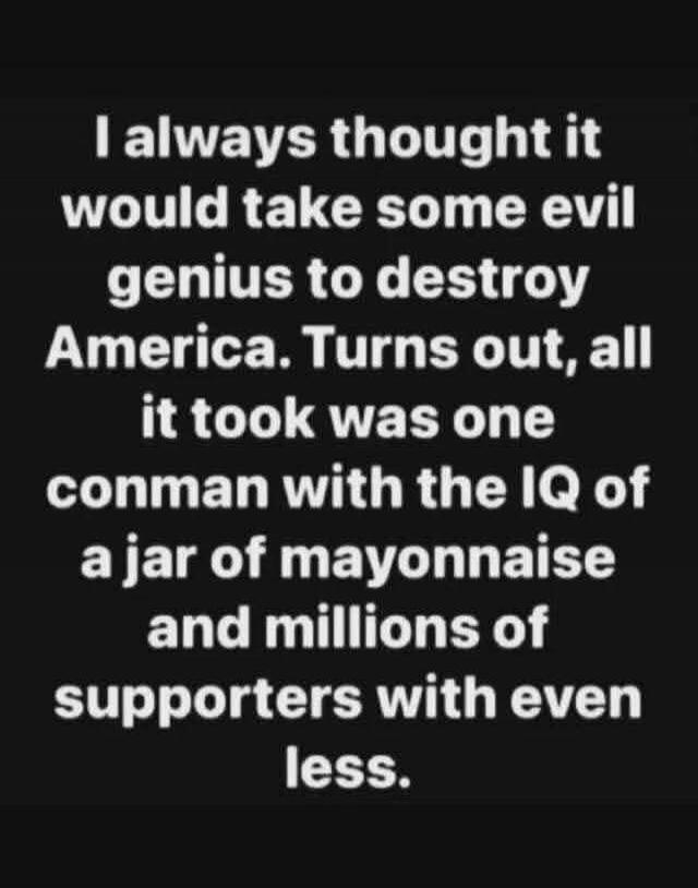 I always thought it would take some evil genius to destroy America. Turns out, all it took was one conman with the IQ of a jar of mayonnaise and millions of supporters with even less.