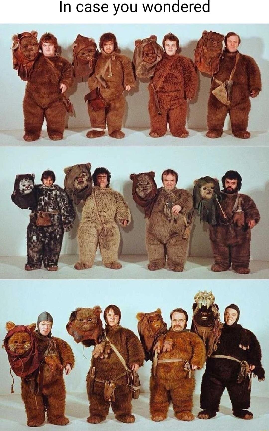 In case you wondered