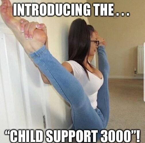 INTRODUCING THE