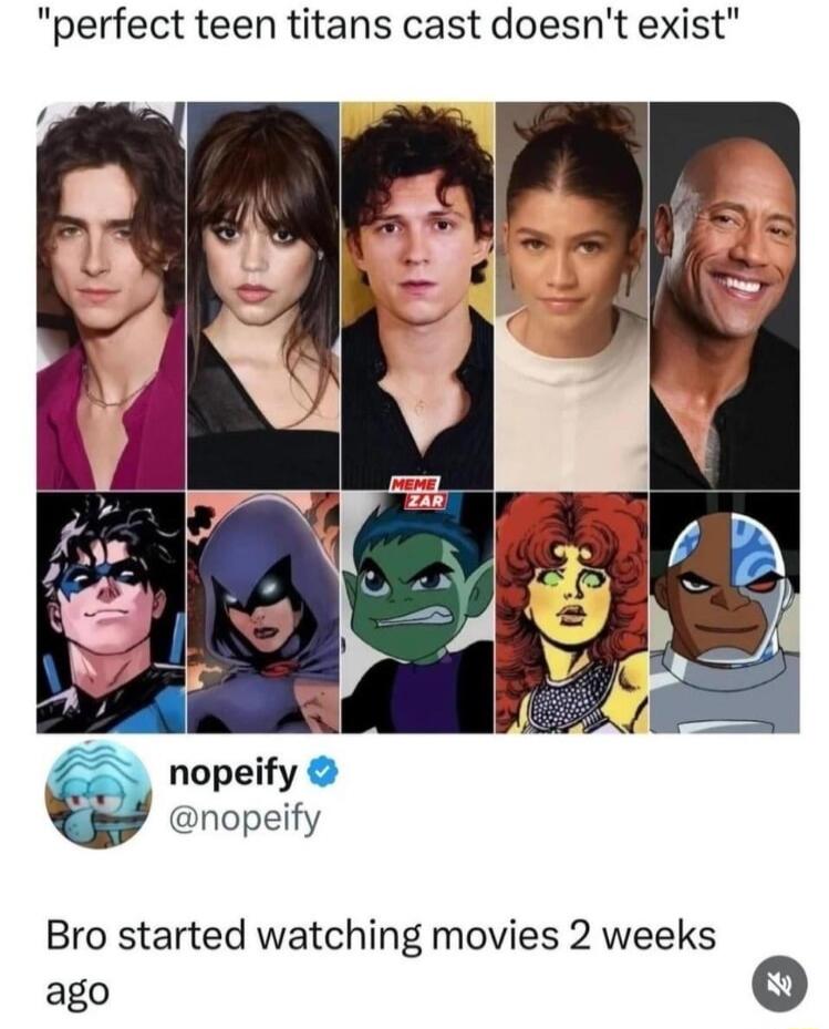 perfect teen titans cast doesnt exist nopeify nopeify Bro started watching movies 2 weeks ago