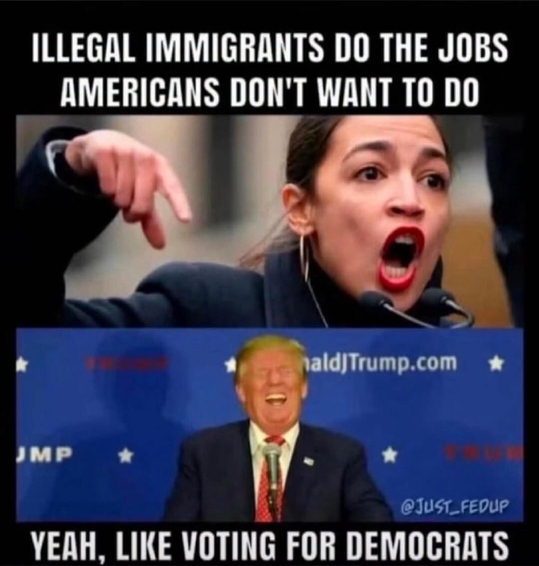 ILLEGAL IMMIGRANTS DO THE JOBS AMERICANS DON'T WANT TO DO YEAH, LIKE VOTING FOR DEMOCRATS