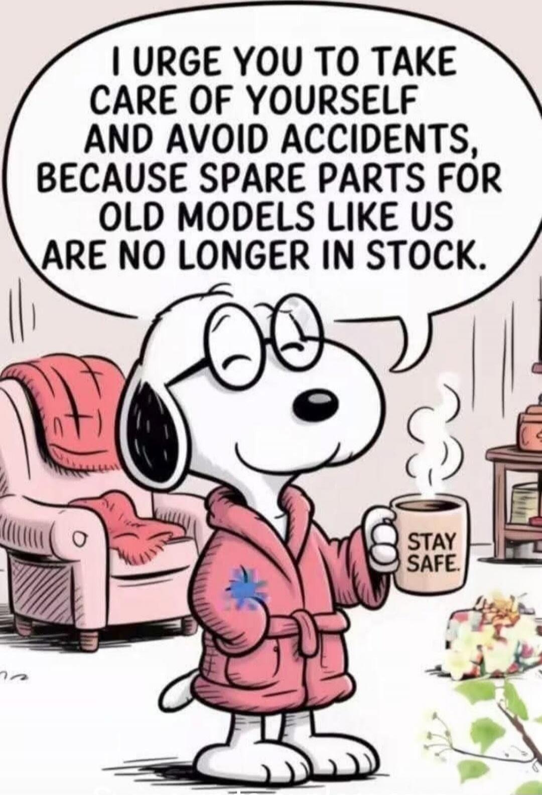 I URGE YOU TO TAKE CARE OF YOURSELF AND AVOID ACCIDENTS, BECAUSE SPARE PARTS FOR OLD MODELS LIKE US ARE NO LONGER IN STOCK. STAY SAFE.