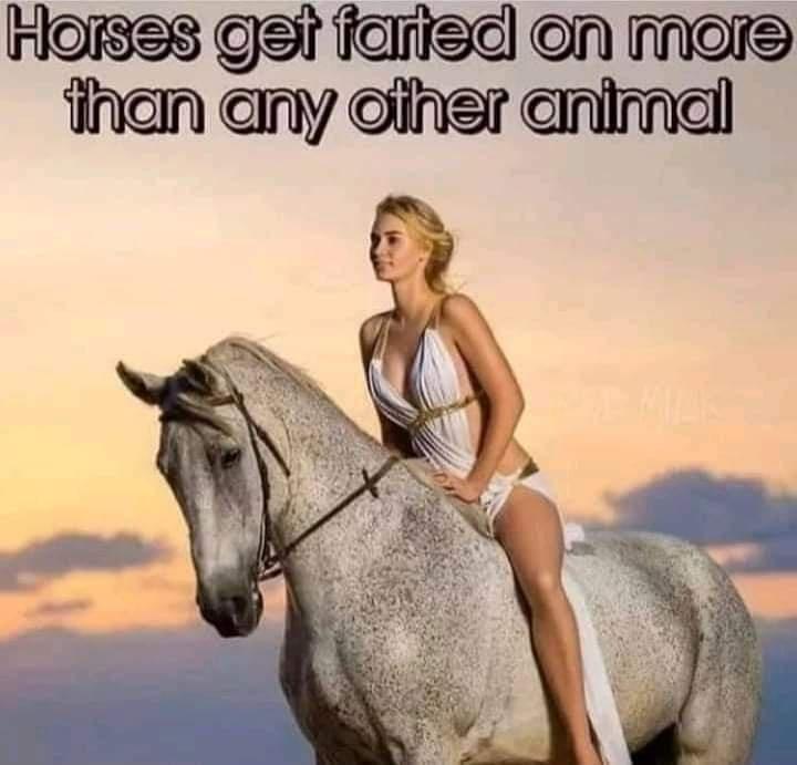 Horses geit fiarisel en Mok fihen any oiher anifncl