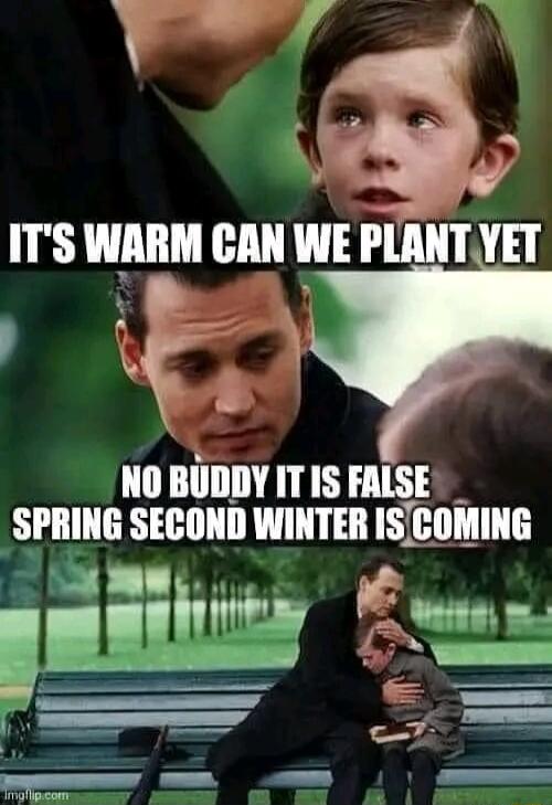 iu ITS WARM CAN VE PIAIII VII TP NO BUDDY ITIS FALSE SPRING SECOND WINTER ISCOMING