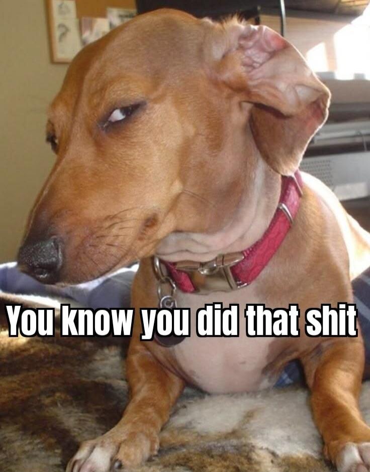 You know you did that shit