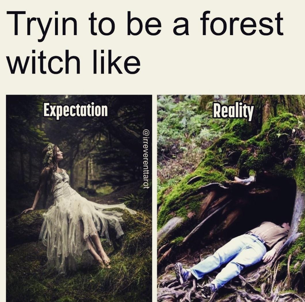 Tryin to be a forest witch like Expectation