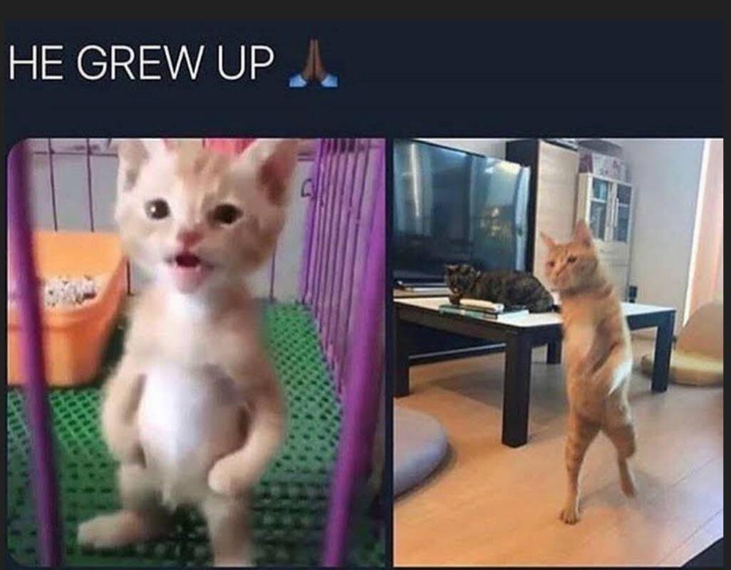 HE GREW UP