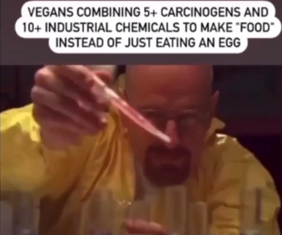 VEGANS COMBINING 5 CARCINOGENS AND 10 INDUSTRIAL CHEMICALS TO MAKE FOOD INSTEAD OF JUST EATING AN EGG