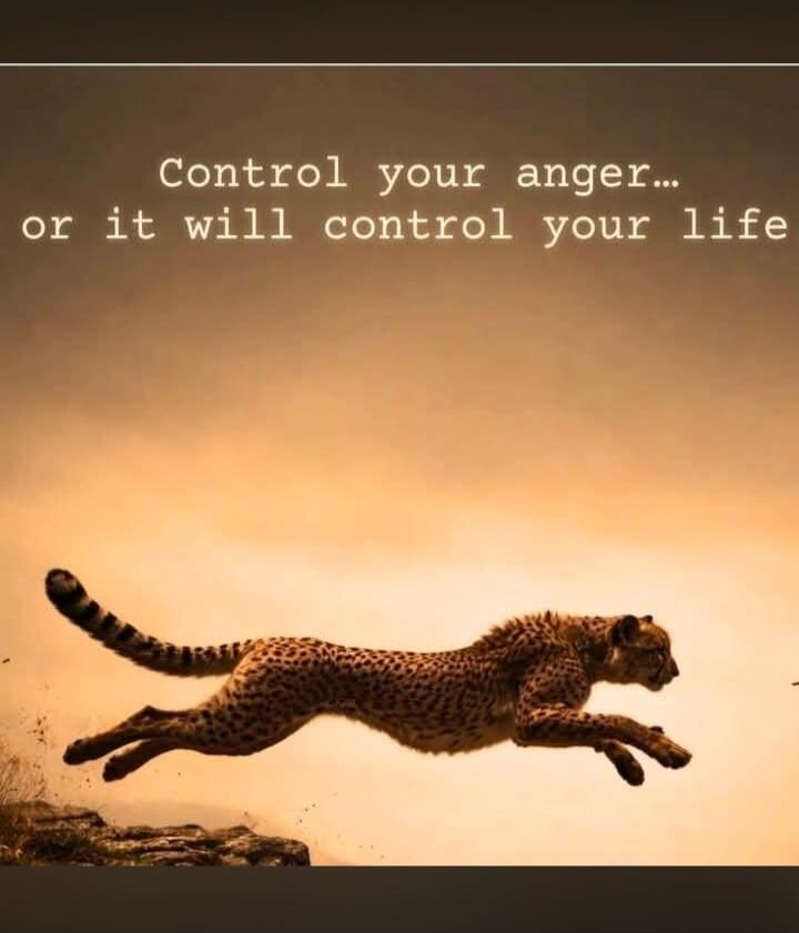 Control your anger... or it will control your life