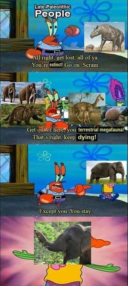 L Iright get lost all of ya Youreextinct Go on Scram y ou terrestrial megafauna