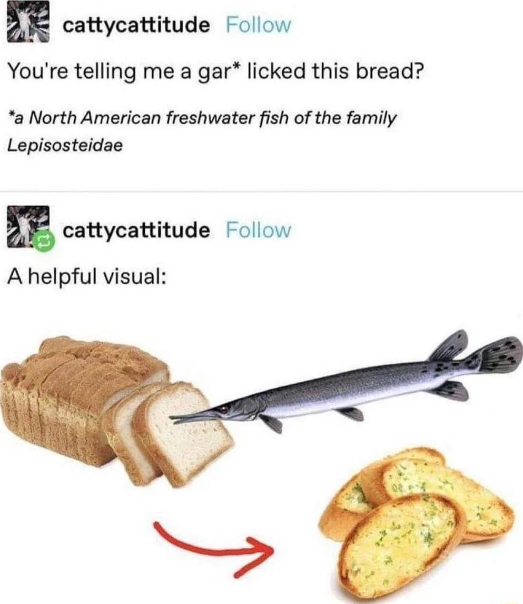 cattycattitude Follow Youre telling me a gar licked this bread a North American freshwater fish of the family Lepisosteidae E cattycattitude Follow A helpful visual