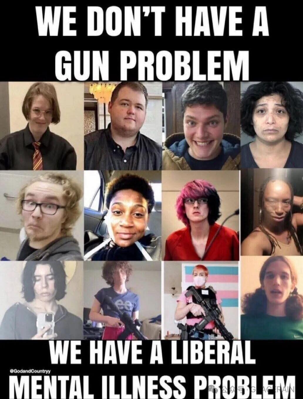 WE DON'T HAVE A GUN PROBLEM WE HAVE A LIBERAL MENTAL ILLNESS PROBLEM