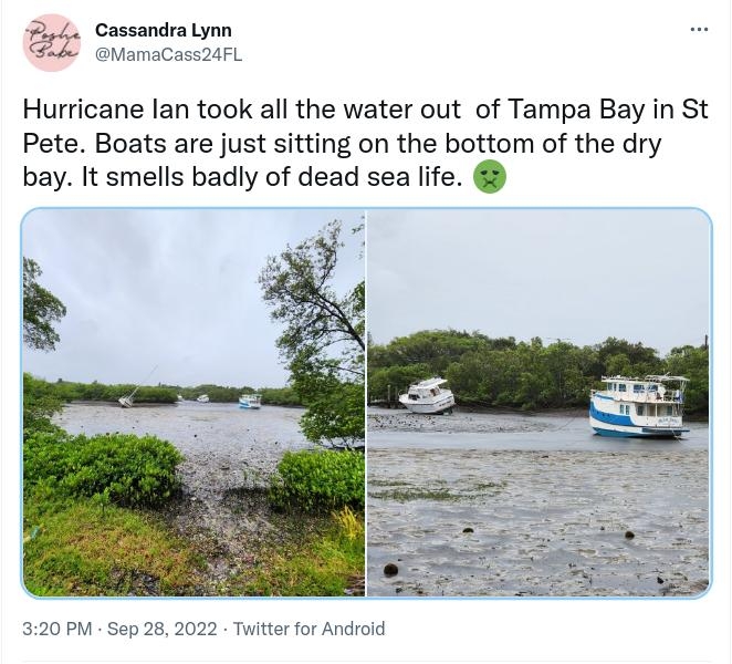 24 Cassandralynn L v FL Hurricane lan took all the water out of Tampa Bay in St Pete Boats are just sitting on the bottom of the dry bay It smells badly of dead sea life 25 Retweots 4 Quote Tweets 74 Like