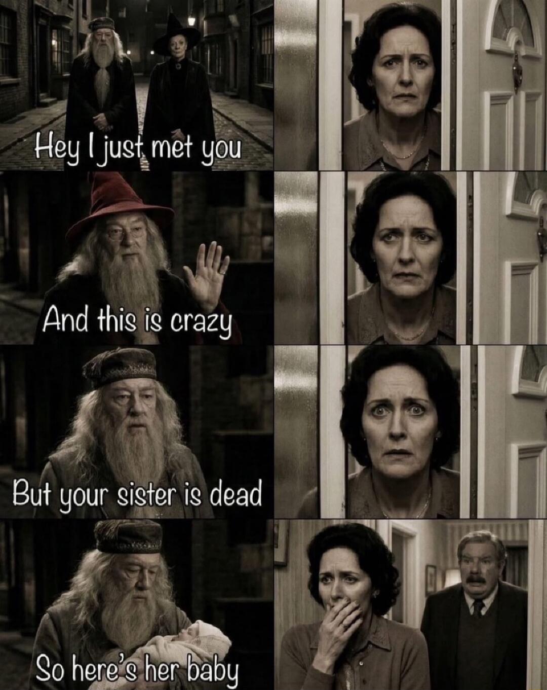 Hey I just met you And this is crazy But your sister is dead So here's her baby