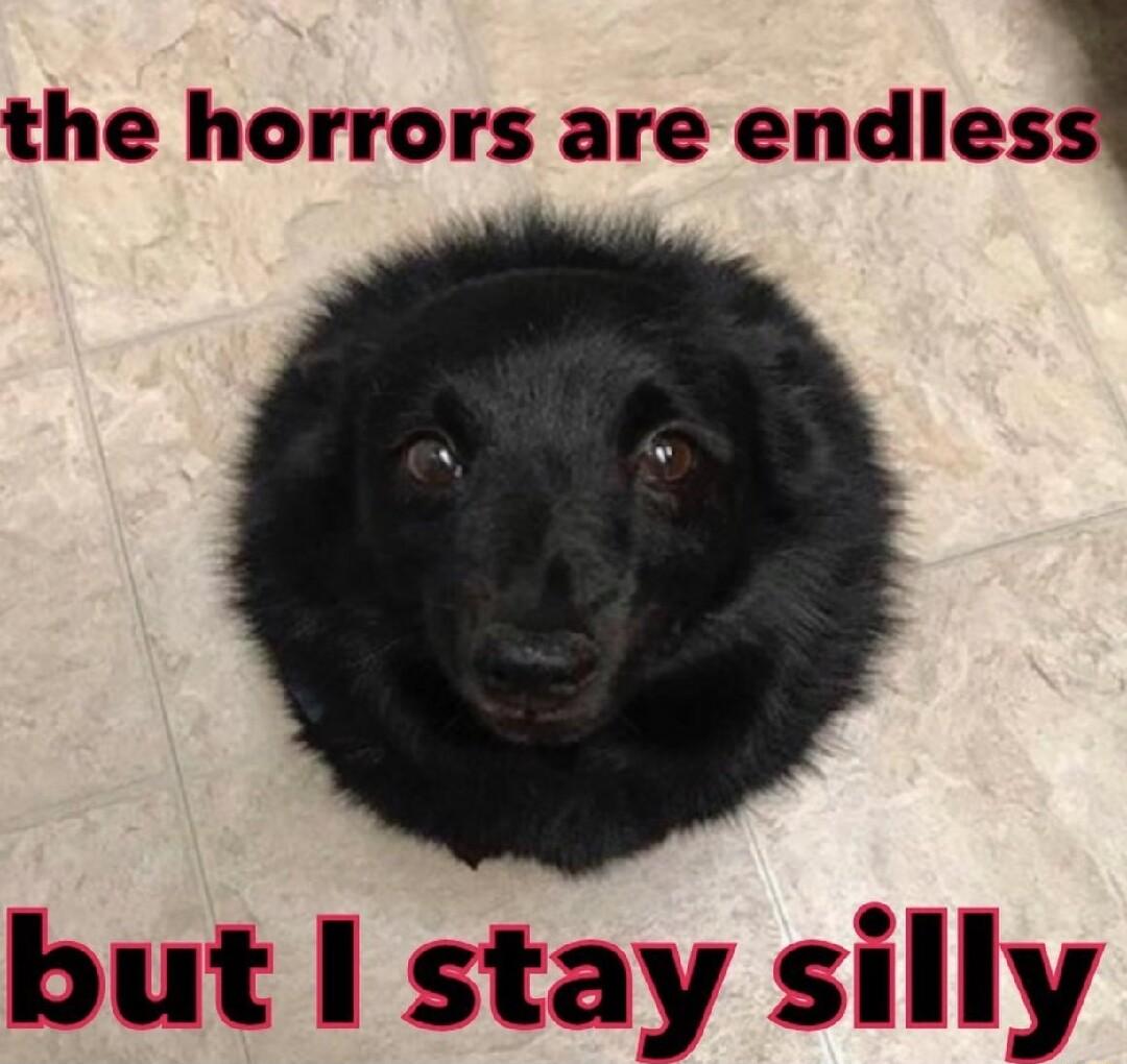 the horrors are endles but I stay silly