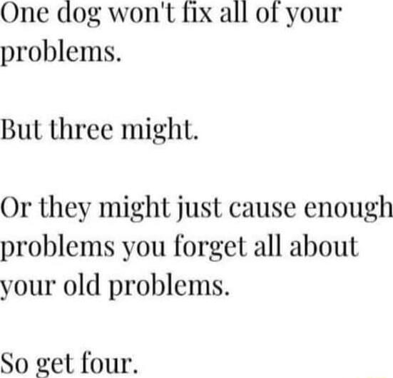 One dog wont fix all of your problems Bul three might Or they might just cause enough problems you forget all about your old problems So et four