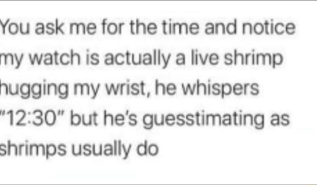 You ask me for the time and notice my watch is actually a live shrimp hugging my wrist he whispers 1230 but hes guesstimating as shrimps usually do