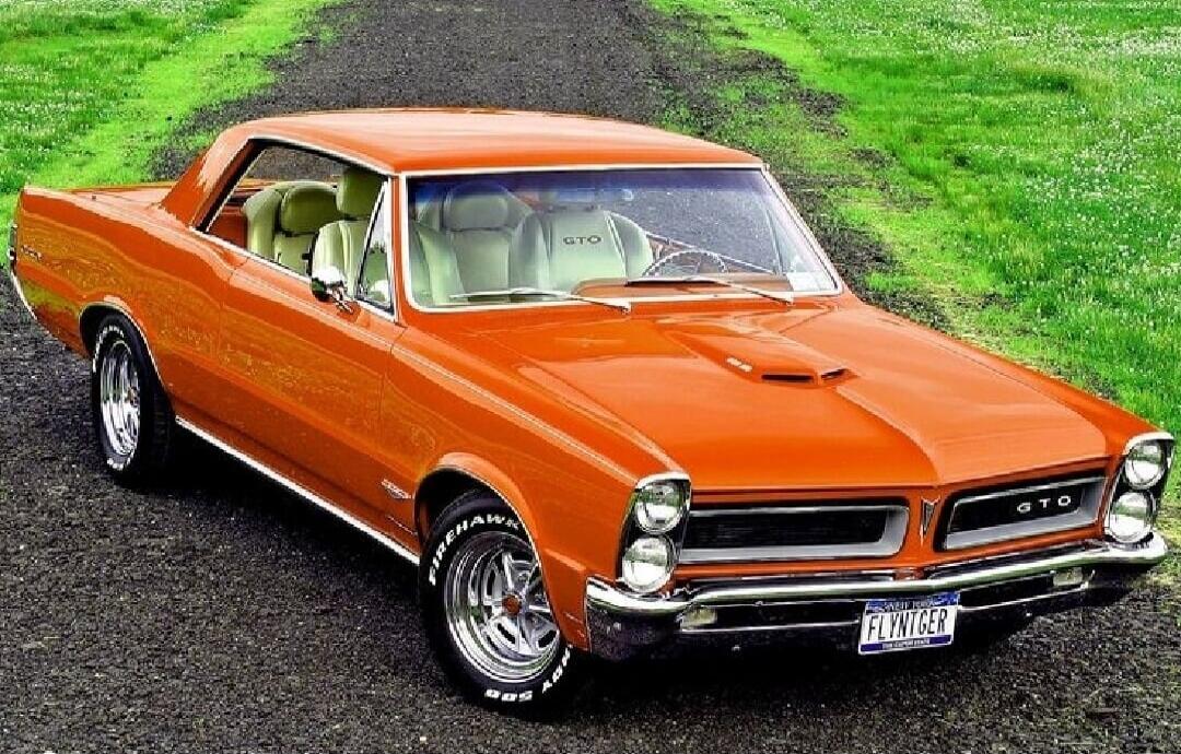 GTO FIREHAWK FLYNTGER